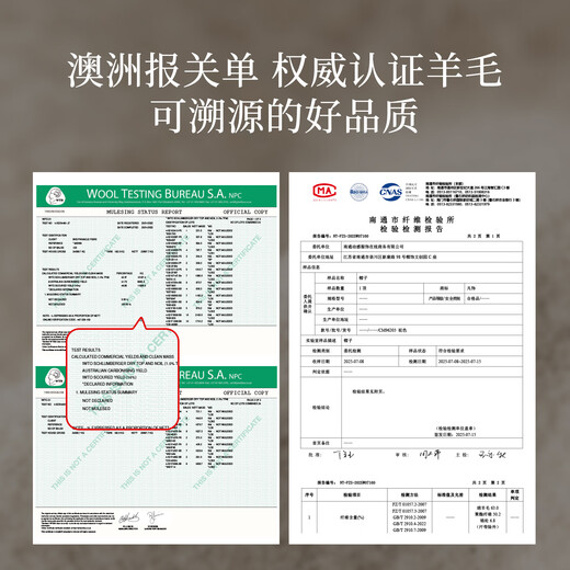 FANCET imported Australian wool beret women's autumn and winter French retro hat versatile face-showing small peaked cap for elders