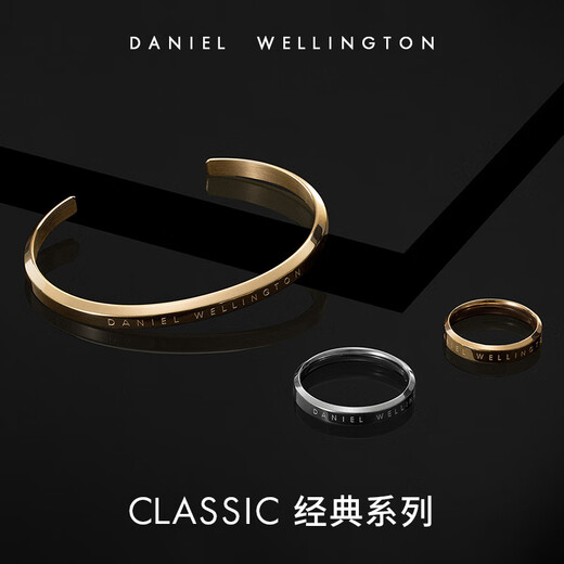 Daniel Wellington (DanielWellington) dw ring for women, classic series of rings for men and women, elegant silver No. 54, birthday gift for girlfriend