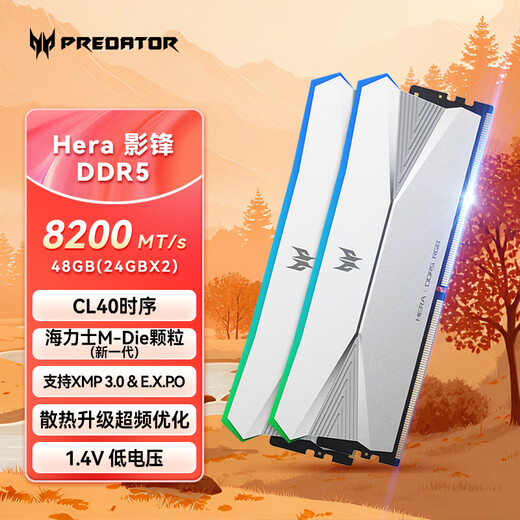 Acer PREDATOR 48G (24G 2) set DDR5 8200 frequency desktop memory stick Hera Shadow Series RGB light strip (C40) Ice Halberd Silver AI computer accessories
