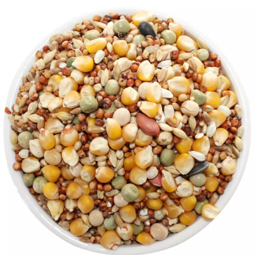 Other horticultural high-quality nutritious pigeon food, meat pigeons, ornamental pigeons, homing pigeons, racing pigeons, Yuanbao pigeons, young pigeon feed, breeding pigeons, pigeon food with corn 2Jin Jin is equal to 0.5 kg