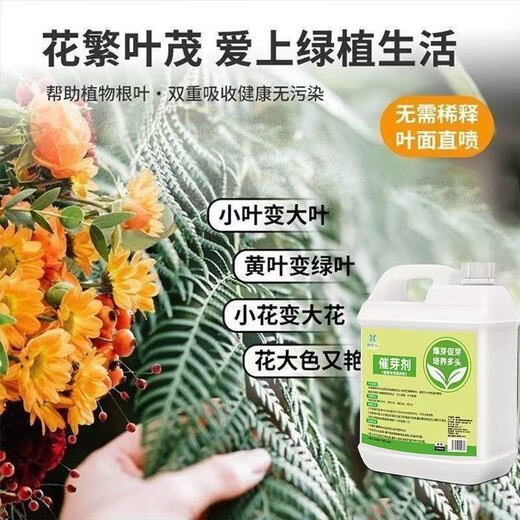 Plant bursting hormone, budding hormone, succulent leaf inserts, bud-promoting germination, household flower growing fertilizer, old pile plant clear leaf fertilizer, old pile dry yellow leaves first aid, new buds grow, 1 barrel 2500ml