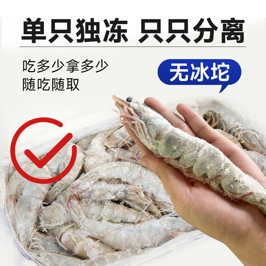 Fishing Travel Notes Qingdao Prawns 3Jin Jin is equal to 0.5kg Clean Shrimp 90-105 Prawns White Shrimp Jiwei Shrimp Fresh Shrimp