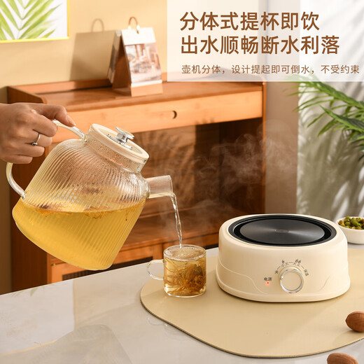 Health kettle, kettle, hot water kettle, thermostatic kettle, tea kettle, tea kettle, one-piece glass, fully automatic, small household, multifunctional office, large capacity, high borosilicate glass with tea drain 2L