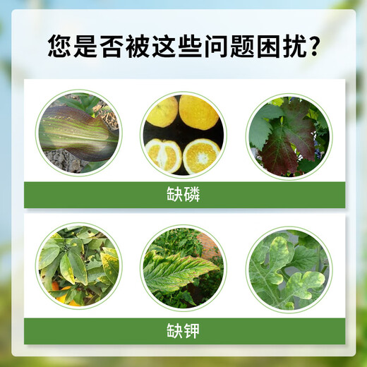 Potassium phosphite liquid fertilizer vegetable citrus fruit tree phosphorus potassium fertilizer chemical 2.5kg7kg25kg 25kg/pot