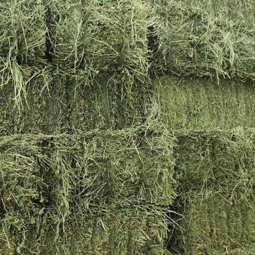 Alfalfa hay for cattle, sheep and horses, sheep grass, alpaca large zoo feed, alfalfa 5kg