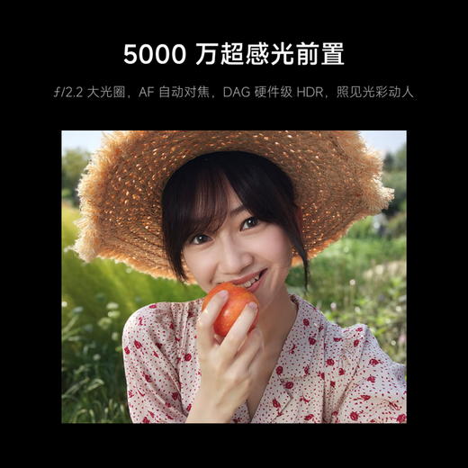 Xiaomi (MI) Mi 17 5th Generation Snapdragon 8 Extreme Edition Light Hunter 950 7000mAh Xiaomi Jinshajiang Battery Black 12GB+512GB Official Standard