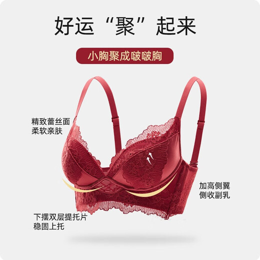Victoria's Fantasy French New Style Underwear Set Small Breast Push Up Adjustable Sexy Lace Red Bra Burgundy (Set) M 34/75 (AB Pass)