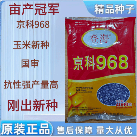 Jingke 968 high-yielding corn seeds, short stems and double sticks, drought and waterlogging resistance, disease resistance and lodging resistance, nationally approved by the Academy of Agricultural Sciences Jingke 968-4000 grains (one acre of land) Song Dynasty vegetable seeds