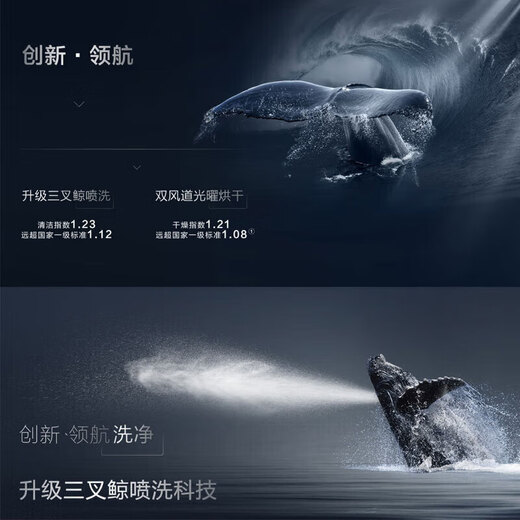 ROBAM boss Robam/boss W76S1L/H901/B500/H600/S2/WB735/WB736/dishwasher WB751 offline same model