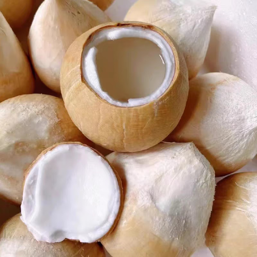 Imported from Thailand, Milk Coconut King Seasonal Dannen Saduo Coconut Fresh Fruit Old Coconut Chicken Soup for Pregnant Women - Jiayao Early adopter 1 pack extra large fruit single fruit 501g-600g (black coconut shell of old tree is normal)