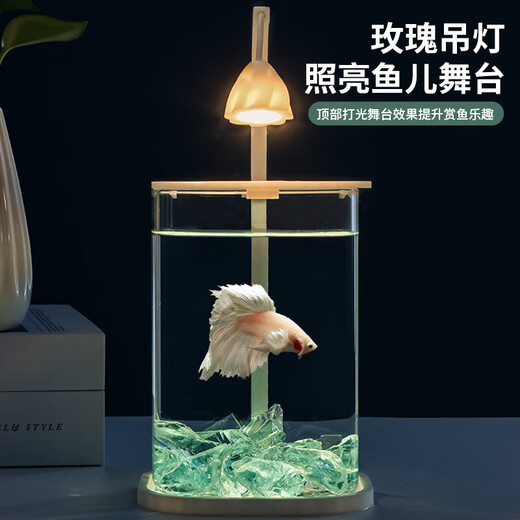 Glass small fish tank, thickened ice crystal tabletop ornaments, ornamental atmosphere lamp, creative tank, ecological fighting fish tank, pearl crushed diamond landscape tank, high-definition ecological fish tank landscaping complete set, luxury model, blue diamond pearl coral package
