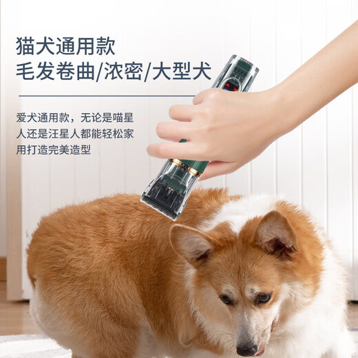 Ningbin German pet shaver for shaving feet, pet shop special silent four-in-one electric clipper high power dog platinum luxury model steel flat shear + care 3-piece set special shaver for pet shops