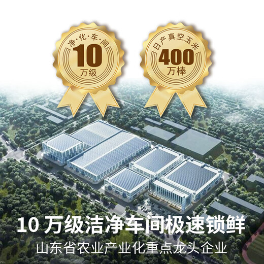 Black Bear Chuck Fruit Sweet Corn Kernels 1.6Jin Jin equal to 0.5kg 80g*10 bags ready to eat crispy sweet juicy low fat filling children's snacks