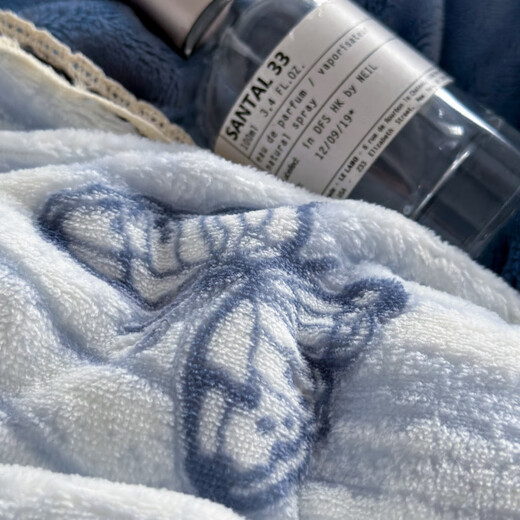 Belles Mercury Home Textiles Autumn and Winter Thickened Warm Baby Milk Velvet Four-piece Set French Retro Style Printed Coral Velvet Quilt Cover Butterfly Flying - Bentley Blue Sheet Type 1.5m Four-piece Set