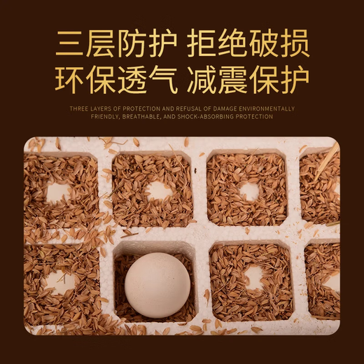 Fresh free-range eggs, single 50g, plus or minus 5g, grain-fed eggs, fresh eggs, soft-boiled eggs, fresh vegetables for breakfast, 10 pieces, 50g/piece Fresh free-range eggs, single 50g, plus or minus 5g, grain-fed eggs, fresh eggs, soft-boiled eggs, fresh vegetables for breakfast, 10 pieces, 50g/piece