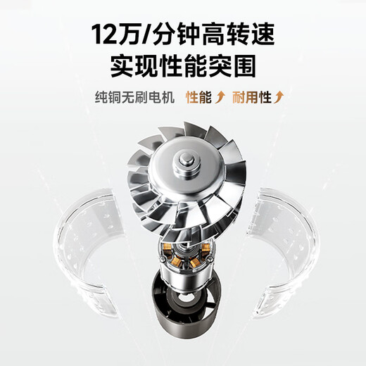 RUAFEE Hair Dryer Home High Speed Plasma Hair Dryer High Power High Wind Hair Dryer Negative Ion Hair Care Low Noise Fast Dry Hair Hair Send Gift National Subsidy Face Control Powder