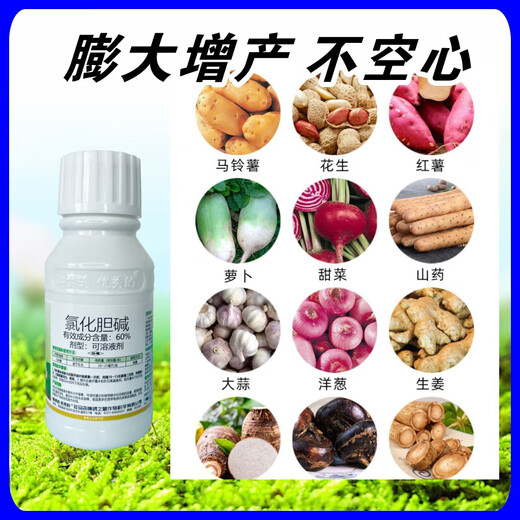 Choline chloride, garlic, ginger, onion, sweet potato, potato, peanut, medicinal underground rhizome expansion hormone regulator 500g1 bottle (500g/bottle)