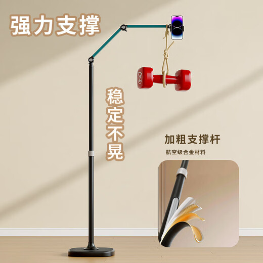 Dulwich Lion Mobile Phone Overhead Shooting Bracket Live Broadcast Floor Shooting Calligraphy Piano Cantilever 2025 New Multi-Function Liftable Folding Stable Anti-Shake Portable Internet Celebrity Dance Video Recording Plus 1.7 Meter Aluminum Alloy Double Arm