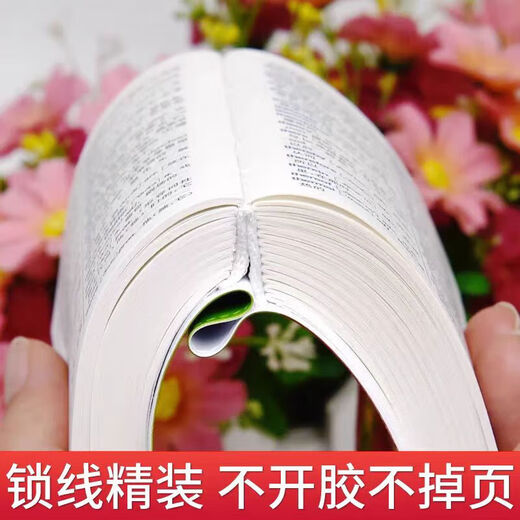 【正版现货】新华字典第 12 版双色本2025年新版 中小学生语文必备 老师推荐工具书 权威词典 现代汉语词典7版古代汉语常用字字典牛津高阶英汉双解词典牛津中阶词典牛津初阶词典英汉小词典 英汉大词典 