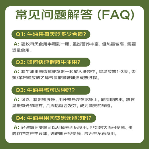 Jingxiansheng Mr. Avocado Chilean ready-to-eat avocados, 4 extra large fruits, single fruit starting from 160g, straight from the source