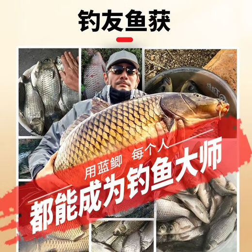 The Dragon King hates the old version of the wild blue crucian carp fishing bait, the old three kinds of bait, the authentic wild fishing bait, the killing nest bait, the field blue crucian carp 300g, a pack