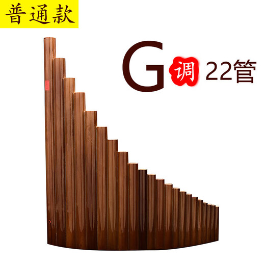 Beginner 8-22-pipe panpipe national musical instrument popular New Year gift training teaching students beginner panpipe ordinary C key 15-pipe