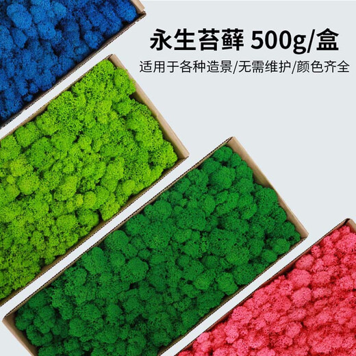 Plant boxed flower material package diy dry dried flowers real flower plant wall simulation fluffy background wall big gray moss-green grass