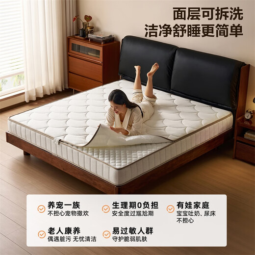 Quanyou home spring mattress 20cm thick household natural coconut palm ridge-protecting tatami mattress 1.8m