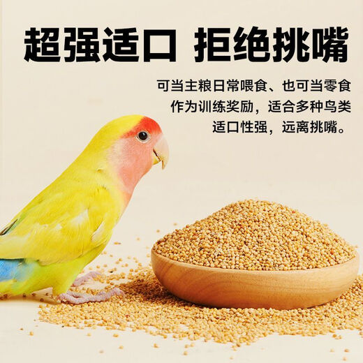 Bird food eaten by budgerigars Black Phoenix Munnia shelled millet red millet bird feed yellow millet mixed shelled yellow grain parrot nutritional food 2555g yellow millet parrot food