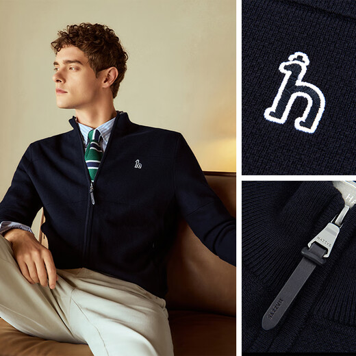 HAZZYS Men's Spring and Autumn Knitted Jacket Solid Color Sweater Stand Collar Wool Cardigan for Men ABYZD0BCF47 Navy Blue NV L (175/96A 48)