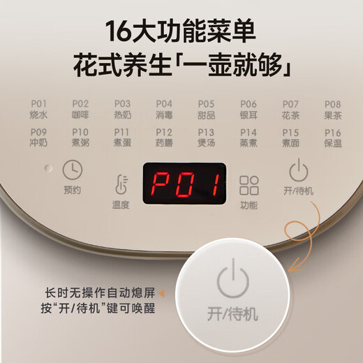 Bear (Bear) Health Kettle Hot Kettle Tea Maker Tea Kettle Electric Kettle Constant Temperature Electric Kettle Insulated Flower Tea YSH-D20F3 with Filter 2L