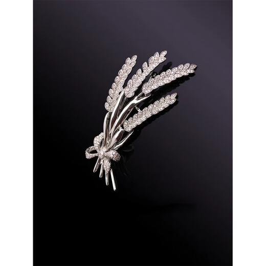 SNQP men's brooch brooch brooch badge badge suit accessories gift gold