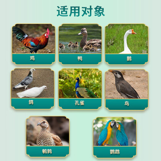 Egg Duoduo egg-increasing treasure for chickens, ducks and geese laying eggs, special egg-stimulating universal feeding for laying hens, calcium supplementation and egg-laying king nutrition. Danduoduo 5 bags/1kg