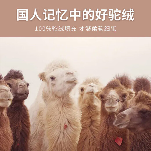 Camel hair cotton pants women's winter new style 2025 outer wear slimming slim thermal pants heat storage plus velvet thickened leggings black 100% camel hair filled knee pads 3XL recommended 130-145 Jin Jin equals 0.5 kg