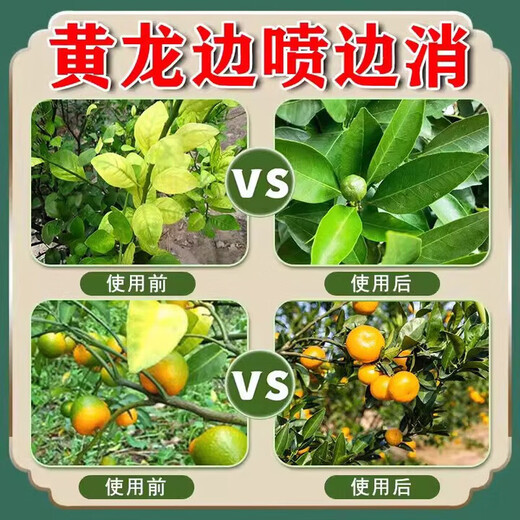 黄龙病果树专用药治柑橘脐橙黄龙病黄化病黄叶卷叶专用药营养液 3袋【买二送一】果树专用