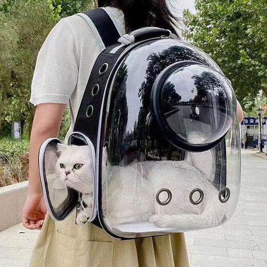 MODX Outing Space Pet Pet Supplies Tragbarer Raumkapsel-Rucksack mit großer Kapazität, transparente Katzenausflugstasche, hellgrünes + transparentes Modell, verbessertes Panoramamodell mit seitlicher Öffnung