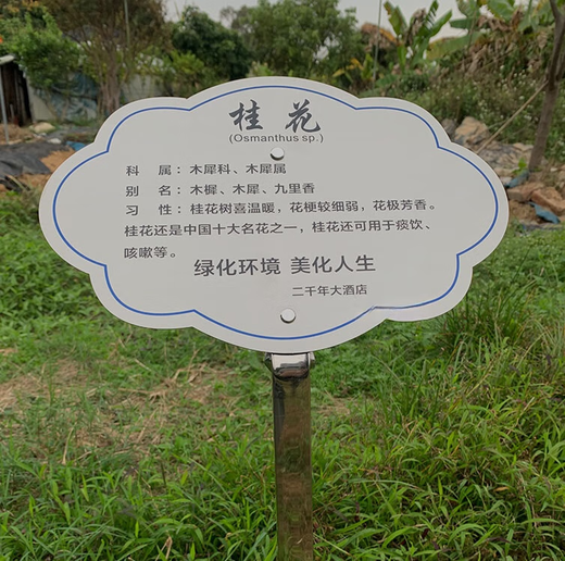 Tree sign, customized tree and flower sign, hanging plant popular science sign, ancient tree insertion sign, introduction sign, stainless steel 20*15CM