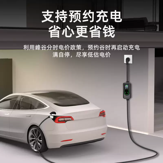 Yusenyi is suitable for Euler Good Cat Black Cat Device Pile Line Lightning Cat Ballet Cat Car Charger Portable Original (Standard Model 16A) Charging Gun 5 Meters Free Adapter