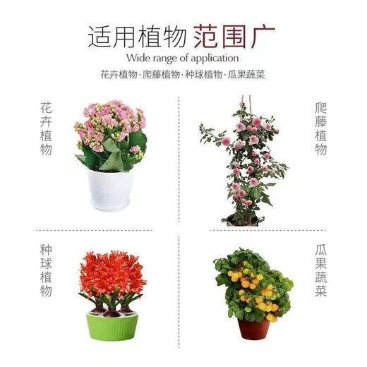 Plant bursting hormone, budding hormone, succulent leaf inserts, bud-promoting germination, household flower growing fertilizer, old pile plant clear leaf fertilizer, old pile dry yellow leaves first aid, new buds grow, 1 barrel 2500ml