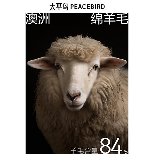 PEACEBIRD Men's Lapel Sheep Wool Executive Jacket Winter Double-sided Wool Jacket Casual Business Jacket Black First Batch L