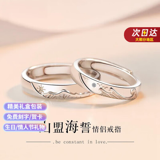 DR Everlasting Oath Platinum Couple Ring PT950 Platinum Pair of Rings Proposal Valentine's Day Birthday Gift for Girlfriend Everlasting Oath-Female Ring
