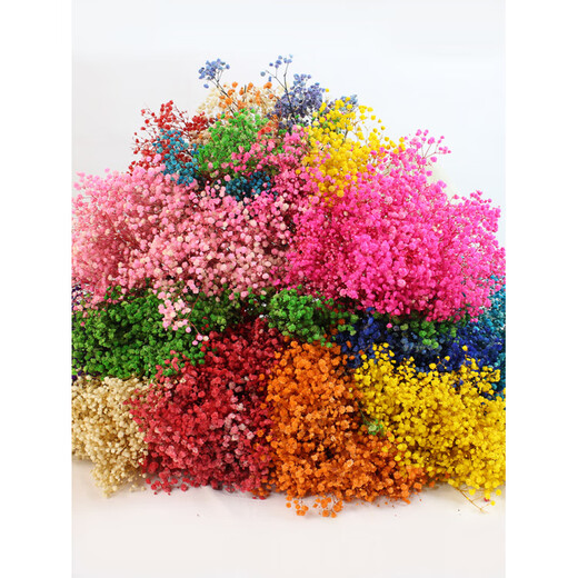 Jatu Dace Festival Dried Flowers Everlasting Gypsophila Real Flowers Home Wedding Decoration Flower Arrangement Window Soft Decoration Landscaping Dream Star Yunnan Straight Everlasting Gypsophila Light Pink About 420g