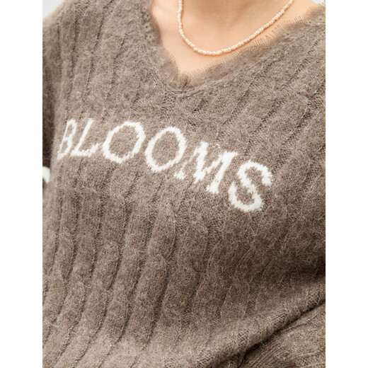 Qiushui Yiren Classic Simple V-neck Wool Sweater 2025 Winter New Women's Elegant Textured Warm Top Coffee S