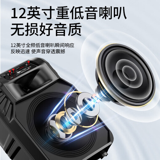 Sony Ericsson (soaiy) F21 Square Dance Audio Mobile Bluetooth Portable Trolley Speaker Performance Home High Power Family K Song with Wireless Microphone Upgraded Dual Charging Microphone