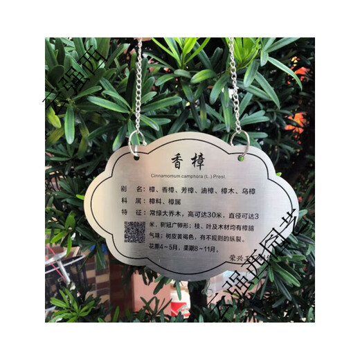 Stainless steel tree sign spring tension spring rope hanging chain stainless steel material retractable without damaging the tree sign sign customization stainless steel 0.6*20CM spring including one screw 0x0cm