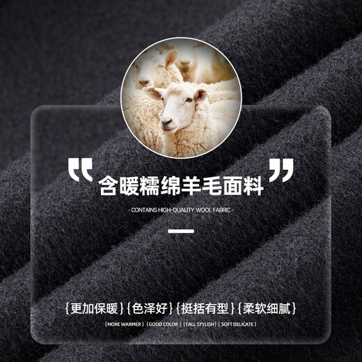 SHANSHAN Shanshan short wool coat men's 2026 spring business men's warm simple casual versatile woolen coat black L /175