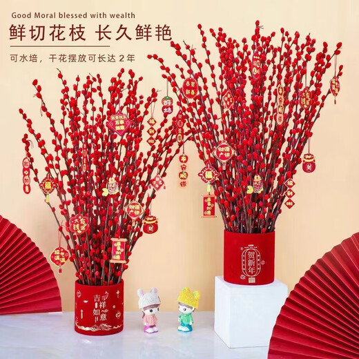 Silver willow real flowers, fresh branches, New Year's Eve flowers, red dried flowers, blessing bucket, silver willow, hydroponic plants, flowers, living room interior decoration, New Year's festive red and silver willow, 45 cm, 10 pieces