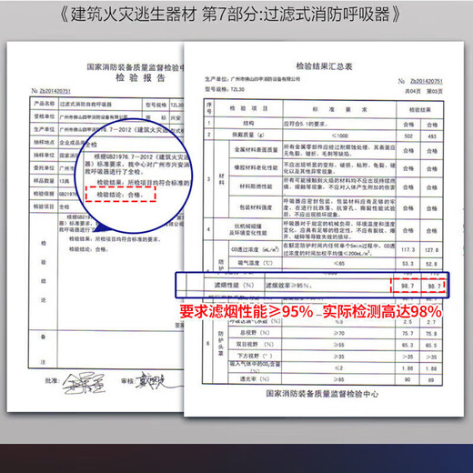 Gas mask fire mask escape smoke mask self-rescue respirator TZL30 upgraded model