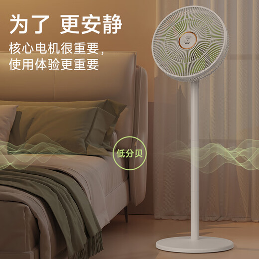 DIAMOND electric fan for home use, Level 1 energy efficiency + DC frequency conversion + pure copper motor, floor-standing fan, table and floor dual-purpose shaking head, large air volume, light sound, small fan for bedroom and living room ZBM08, hot model on the whole network, 8-leaf DC voice intelligent control model