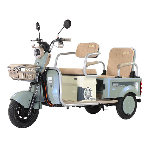 Phoenix Electric Tricycle Passenger and Cargo Dual-Purpose Electric Tricycle Small Bucket for Cargo Transport for the Elderly Electric Tricycle Fengming PLUS 650W48V12A Lead-Acid Battery About 20 Kilometers